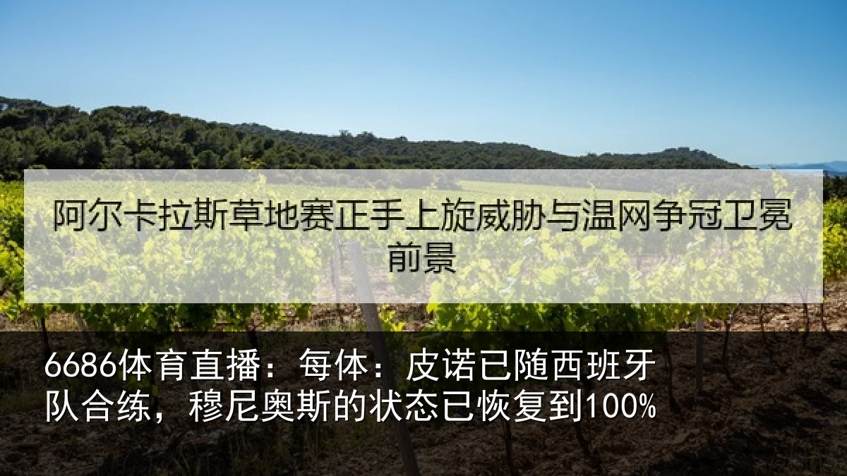 6686体育直播：每体：皮诺相关情况，穆尼相关情况到100%