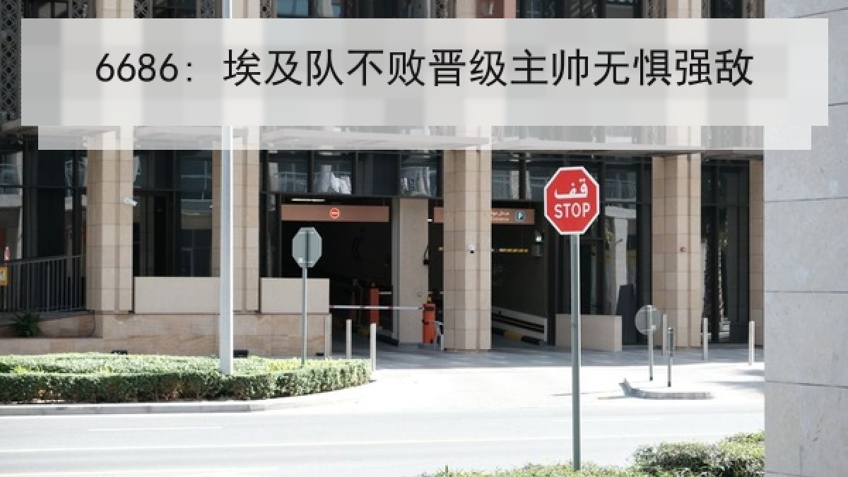 6686: 埃及队不败晋级主帅无惧强敌