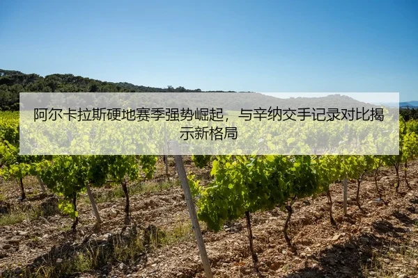 a-er-ka-la-si-ying-di-sai-ji-qiang-shi-jue-qi-yu-xin-na-jiao-shou-ji-lu-dui-bi-jie-shi-xin-ge-ju-3-344.jpg